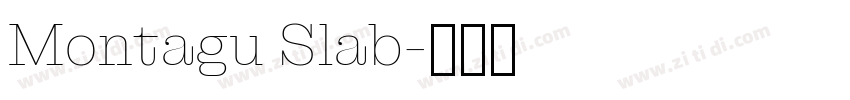 Montagu Slab字体转换